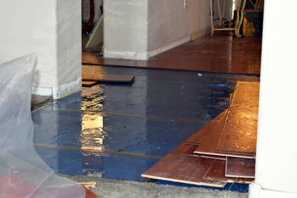 Professional Sewage Cleanup technician working in Krum, TX